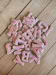 Pink Varsity Teddy Letter Patch