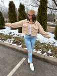 Teddy Bear Cropped Jacket